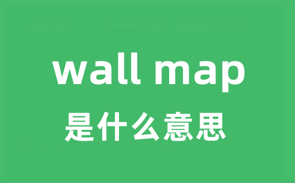 wall map是什么意思