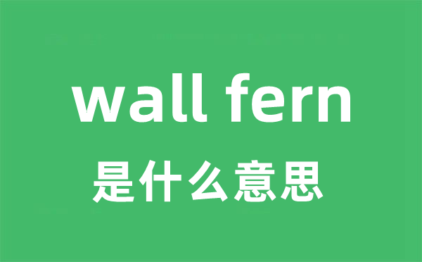 wall fern是什么意思