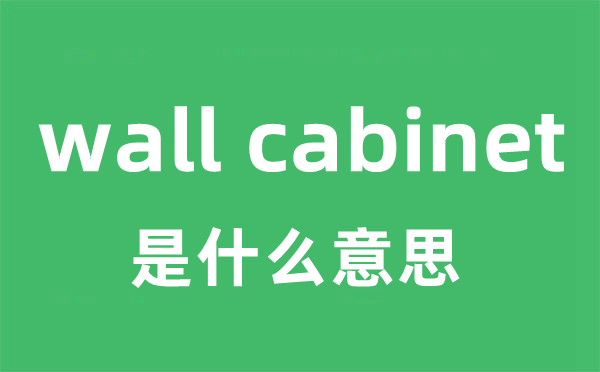 wall cabinet是什么意思