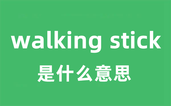 walking stick是什么意思