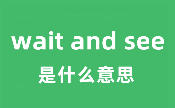 wait and see是什么意思