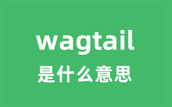 wagtail是什么意思