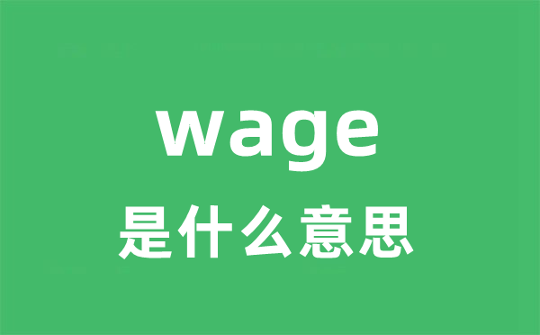 wage是什么意思