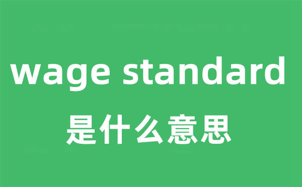 wage standard是什么意思