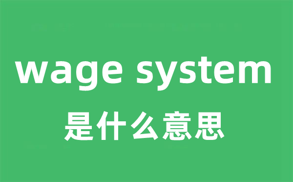 wage system是什么意思