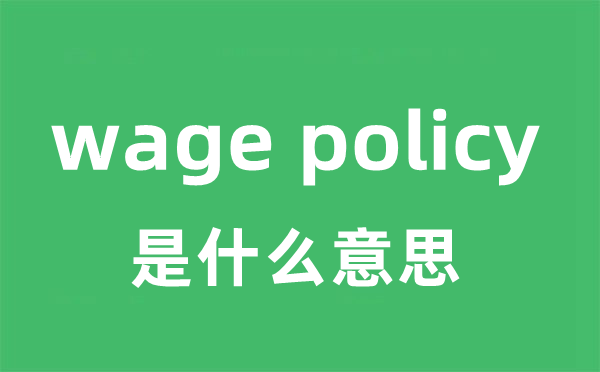 wage policy是什么意思