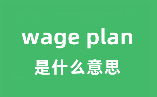 wage plan是什么意思