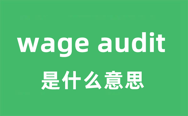 wage audit是什么意思