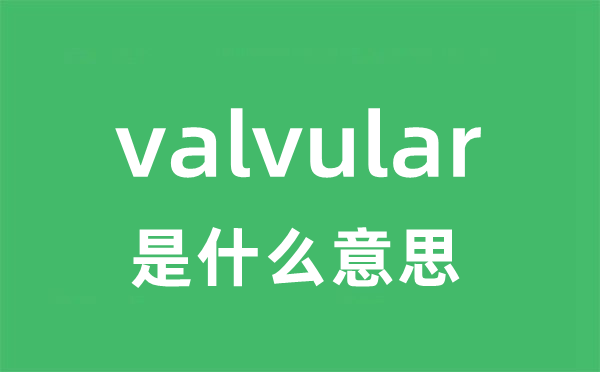 valvular是什么意思