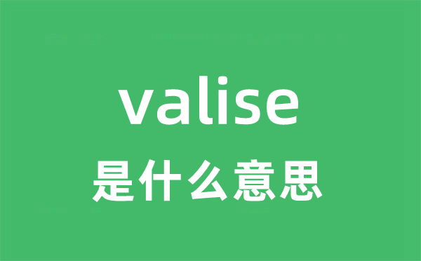 valise是什么意思