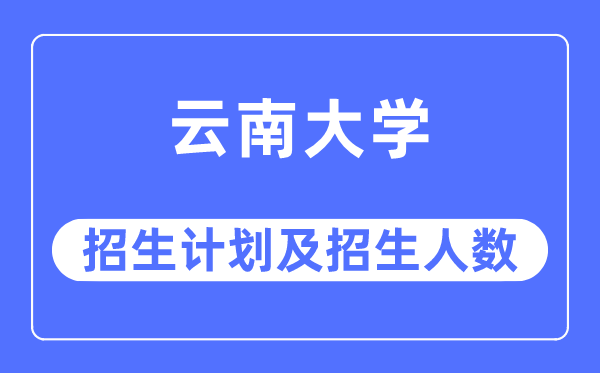 2023年云南大学各省招生计划及各专业招生人数是多少