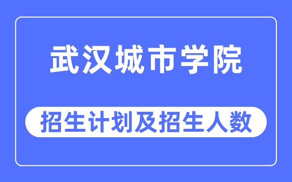 2023年武汉城市学院各省招生计划及各专业招生人数是多少