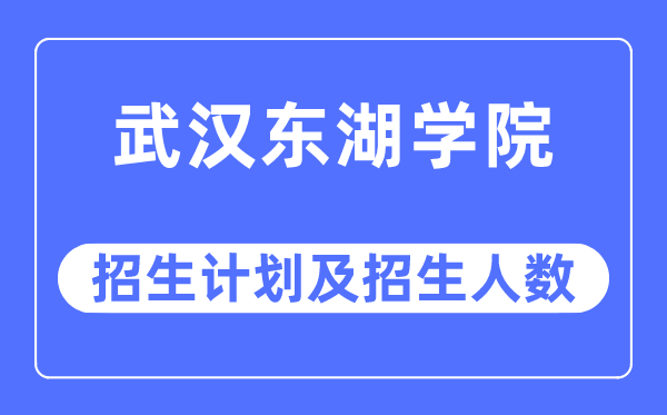 2023年武汉东湖学院各省招生计划及各专业招生人数是多少