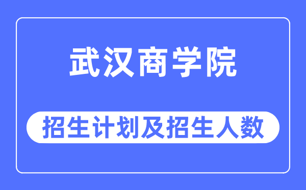 2023年武汉商学院各省招生计划及各专业招生人数是多少