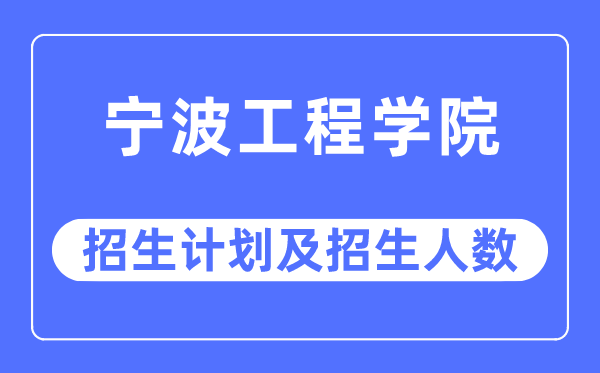 2023年宁波工程学院各省招生计划及各专业招生人数是多少