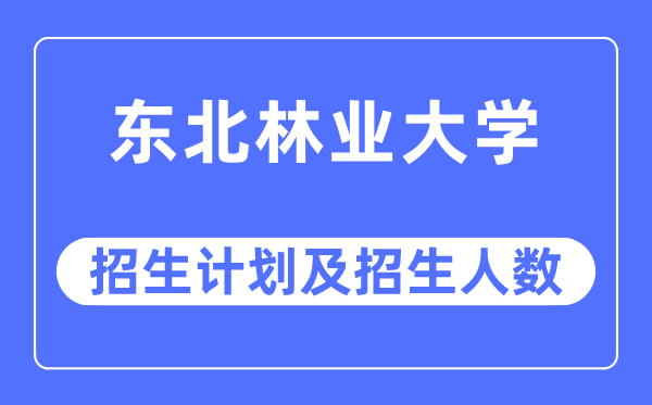 2023年东北林业大学各省招生计划及各专业招生人数是多少