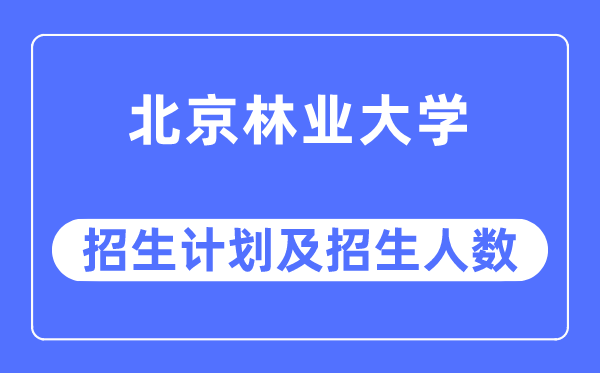 2023年北京林业大学各省招生计划及各专业招生人数是多少