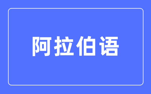 阿拉伯语专业主要学什么,阿拉伯语专业的就业方向和前景分析