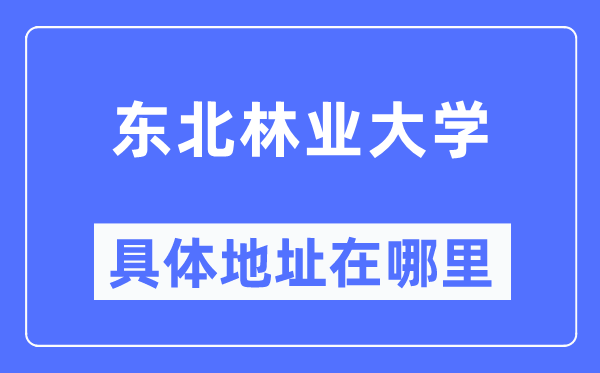 东北林业大学具体地址在哪里,在哪个城市，哪个区？