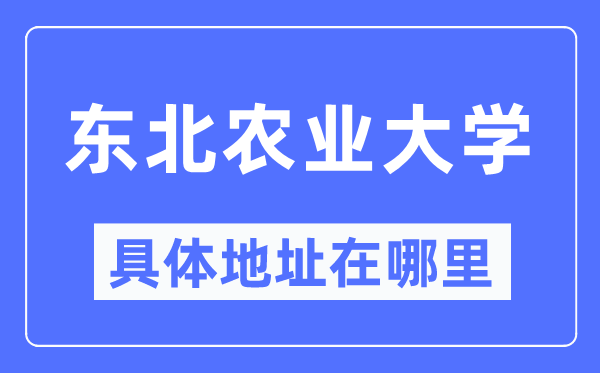 东北农业大学具体地址在哪里,在哪个城市，哪个区？