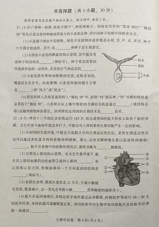 2023年郑州中考生物试卷真题及答案