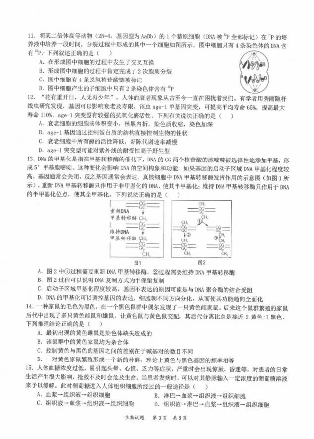 2022年八省联考生物试卷第3页