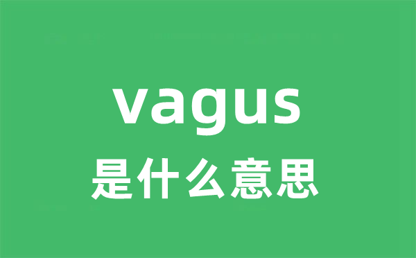 vagus是什么意思