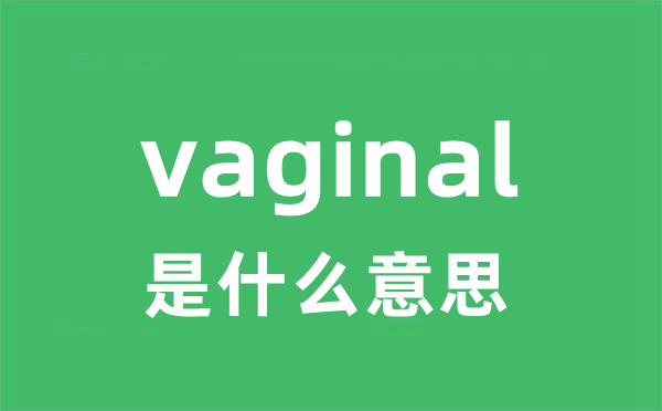 vaginal是什么意思