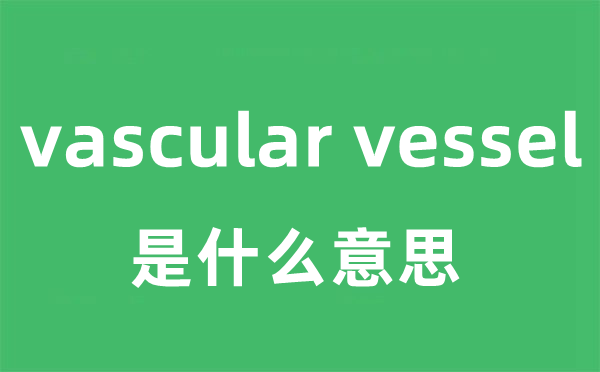 vascular vessel是什么意思