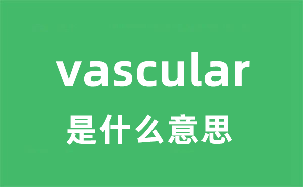 vascular是什么意思