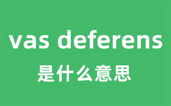 vas deferens是什么意思