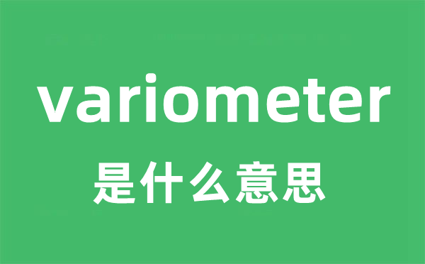 variometer是什么意思