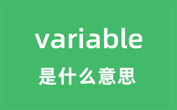 variable是什么意思