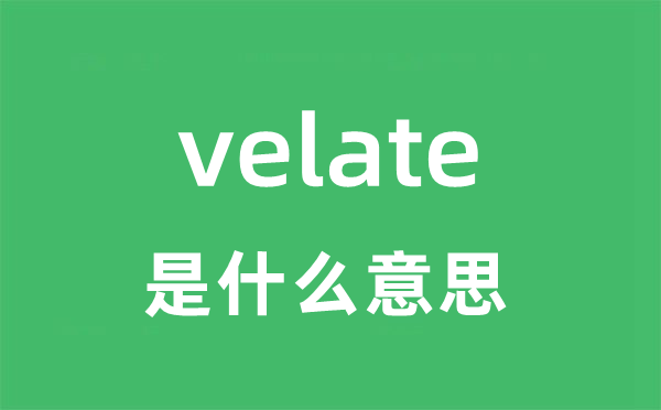 velate是什么意思