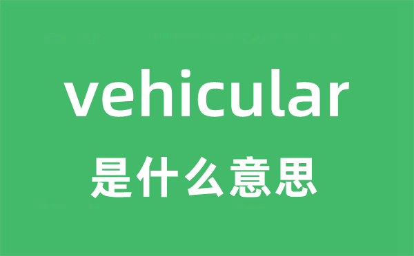 vehicular是什么意思