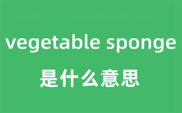 vegetable sponge是什么意思