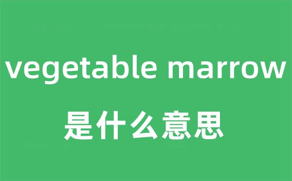 vegetable marrow是什么意思