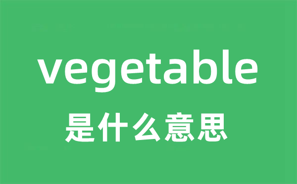 vegetable是什么意思