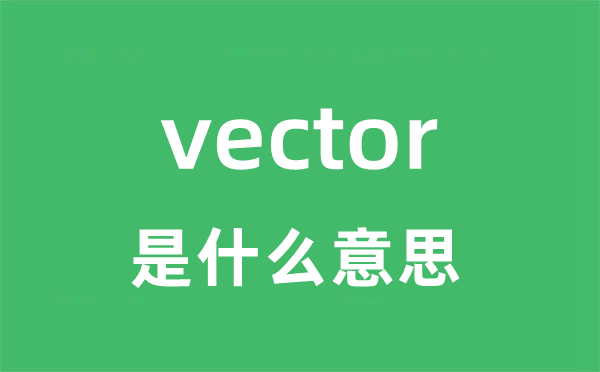 vector是什么意思