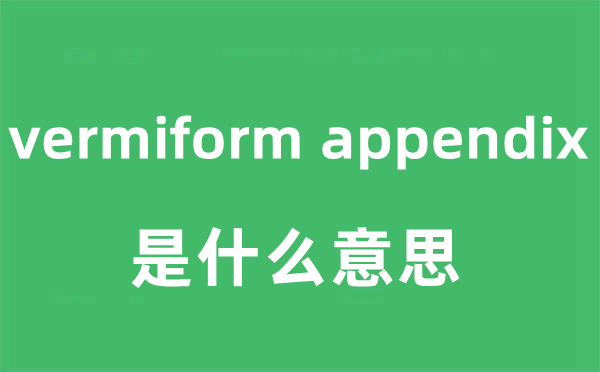 vermiform appendix是什么意思