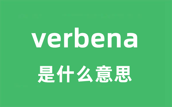 verbena是什么意思