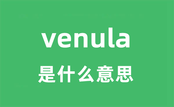 venula是什么意思