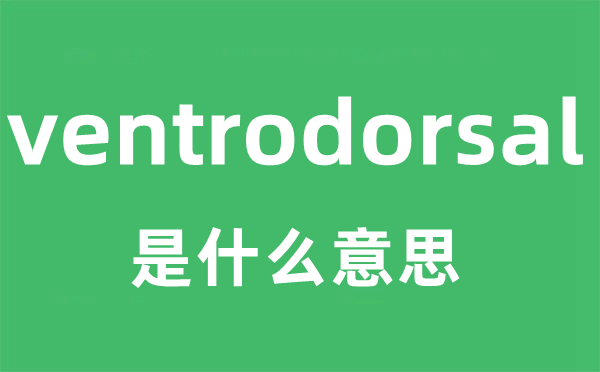 ventrodorsal是什么意思