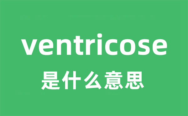 ventricose是什么意思