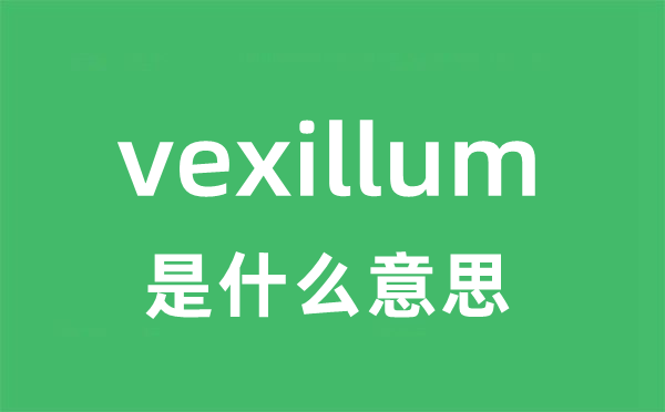 vexillum是什么意思