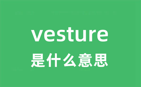 vesture是什么意思