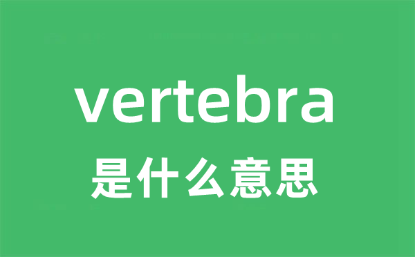 vertebra是什么意思