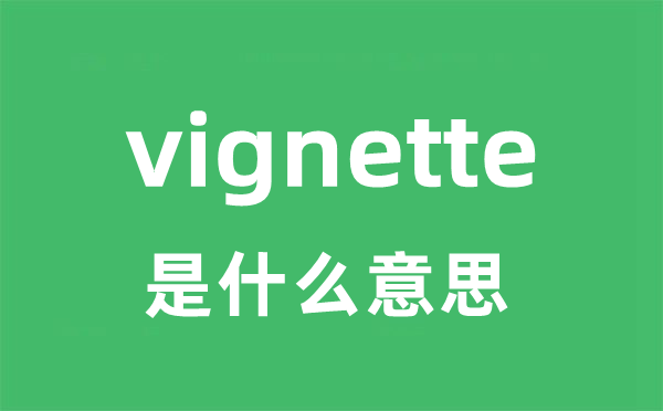 vignette是什么意思