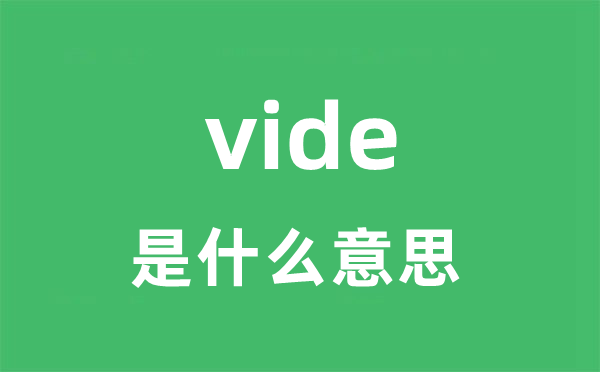 vide是什么意思