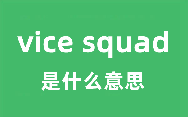 vice squad是什么意思